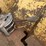ingersoll-rand-sp56dd-image-39