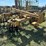 #32162-•-prime-1016-9"-tandem-levee-plow-image-2