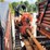 2014-ditch-witch-jt25-image-33