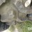 good-year-row-crop-tires-(pz13892)-image-15