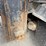 #1084-•-2006-sterling-tandem-axle-patrol-truck-image-57