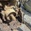 #32184-•-inop-case-international-7140-tractor-image-19