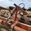 #27143-•-fair-oaks-mfg-20’-stubble-roller-421-image-8