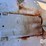 nh3-nurse-tank-(gp11395,-unit-46999,-tank-232)-image-23