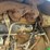 1995-john-deere-5400-image-34
