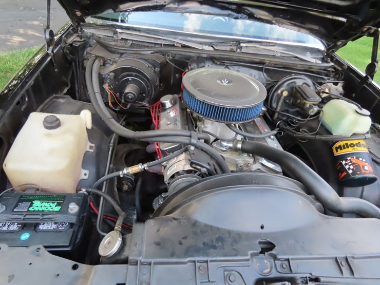 1980-chevrolet-malibu-classic-image-29