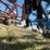 #32187-•-tiger-mate-26'-field-cultivator-image-44