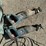 #2117-•-(2)-bosch-rs325-reciprocating-saws-image-5