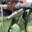 2007-krone-swadro-900-image-10