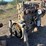 #1621-•-big-cam-turbo-diesel-cummins-engine-image-2