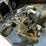 ford-mustang-302-v8-motor-image-4