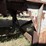 #1604-•-telsmith-20’x6’-towable-screener-image-78