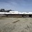 2008-great-dane-48-image-2
