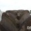michelin-flotation-tire-(pz13894)-image-10