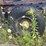 #1555-•-1992-mack-4x4-flat-bed-truck-image-53