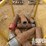 (1-62)-(10)-changeover-subs,-in-38"h-x-41"w-x-7'7...-image-3