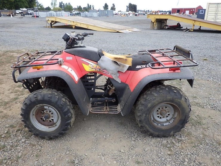 arctic-cat-300-image-6