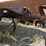 #1604-•-telsmith-20’x6’-towable-screener-image-76