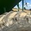 #32193-•-grain-cart-image-6