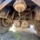 #1558-•-2005-great-lakes-22’-pup-trailer-image-16