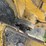 2018-caterpillar-d6t-lgp-image-40