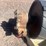 #1566-•-approx-26"-belt-roller-image-11