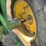 1972-john-deere-4320-image-51
