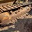 caterpillar-d3-image-19