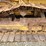 caterpillar-d3-image-41