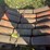 #2659-•-(6)-53"-rollers-image-5