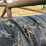 #32197-•-22'-tire-type-packer-image-10