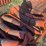#2650-•-(4)-53"-rollers-image-4