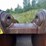 #2537-•-approx-36“-excavator-bucket-image-6