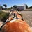 nh3-nurse-tank-(gp11410,-unit-16873,-tank-200)-image-5