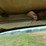 #32159-•-1984-international-co9670-sleeper-truck-tractor-vin:-1hsrdjwr0ehb13117-image-65
