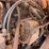 1997-cummins-m11-image-35