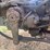 #2688-•-1998-navistar-2674-6x4-day-cab-truck-tractor-image-48