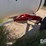 nh3-nurse-tank-(gp11411,-unit-47700,-tank-202)-image-9