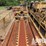 (1-25)-2008-vermeer-d500x500-500,000ib-thrust/pul...-image-12