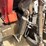 massey-ferguson-2705-image-49