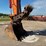 2019-hitachi-zx350lc-6n-image-9
