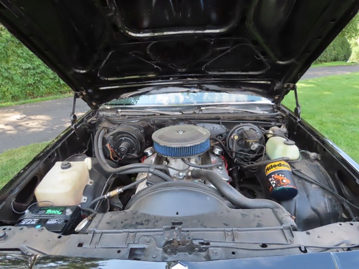 1980-chevrolet-malibu-classic-image-23