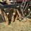 case-ih-330-image-38