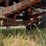 1989-ford-f800-image-38
