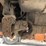 #1631-•-2005-mack-garbage-truck-image-68