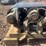 #1567-•-4’x2’-conveyer-image-11