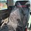 2019-takeuchi-tb290-image-22