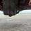 2016-sky-trak-6042-image-22