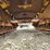 caterpillar-d3-image-28