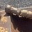 #2676-•-jrb-approx-96“-loader-grapple-image-9